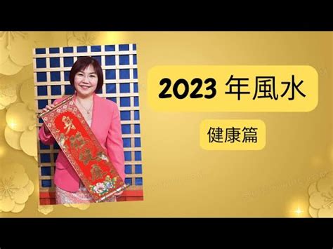 辦公室病位化解2023|【2023病位化解】2023正東方病位不可忽視！這樣擺放物品化解。